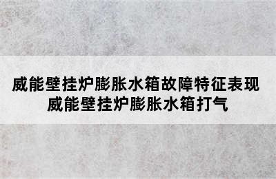 威能壁挂炉膨胀水箱故障特征表现 威能壁挂炉膨胀水箱打气